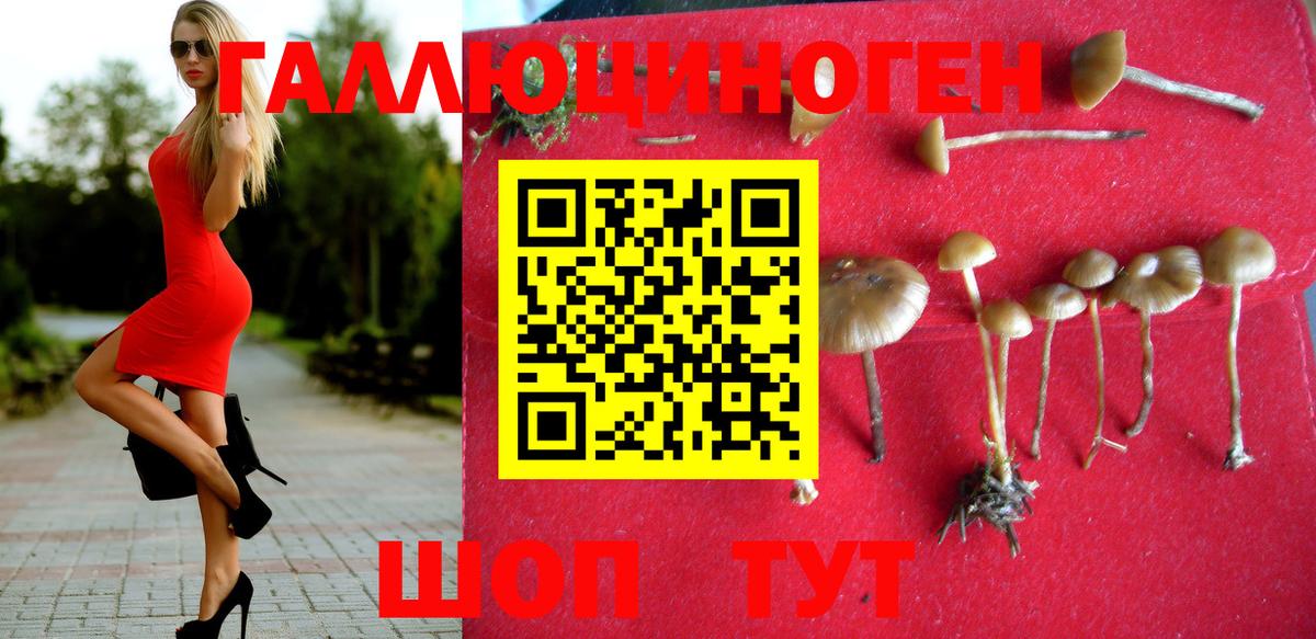 Псилоцибиновые грибы GOLDEN TEACHER Кандалакша