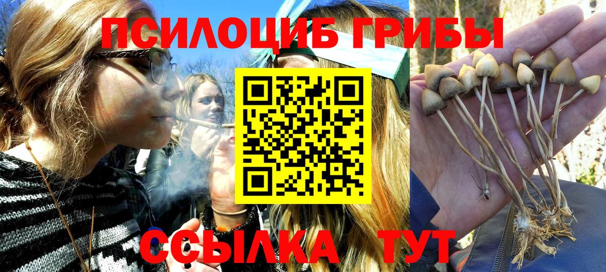 Псилоцибиновые грибы Cubensis  Галлюциногенные грибы MAGIC MUSHROOMS  дарнет шоп  Вход с VPN  Кандалакша 